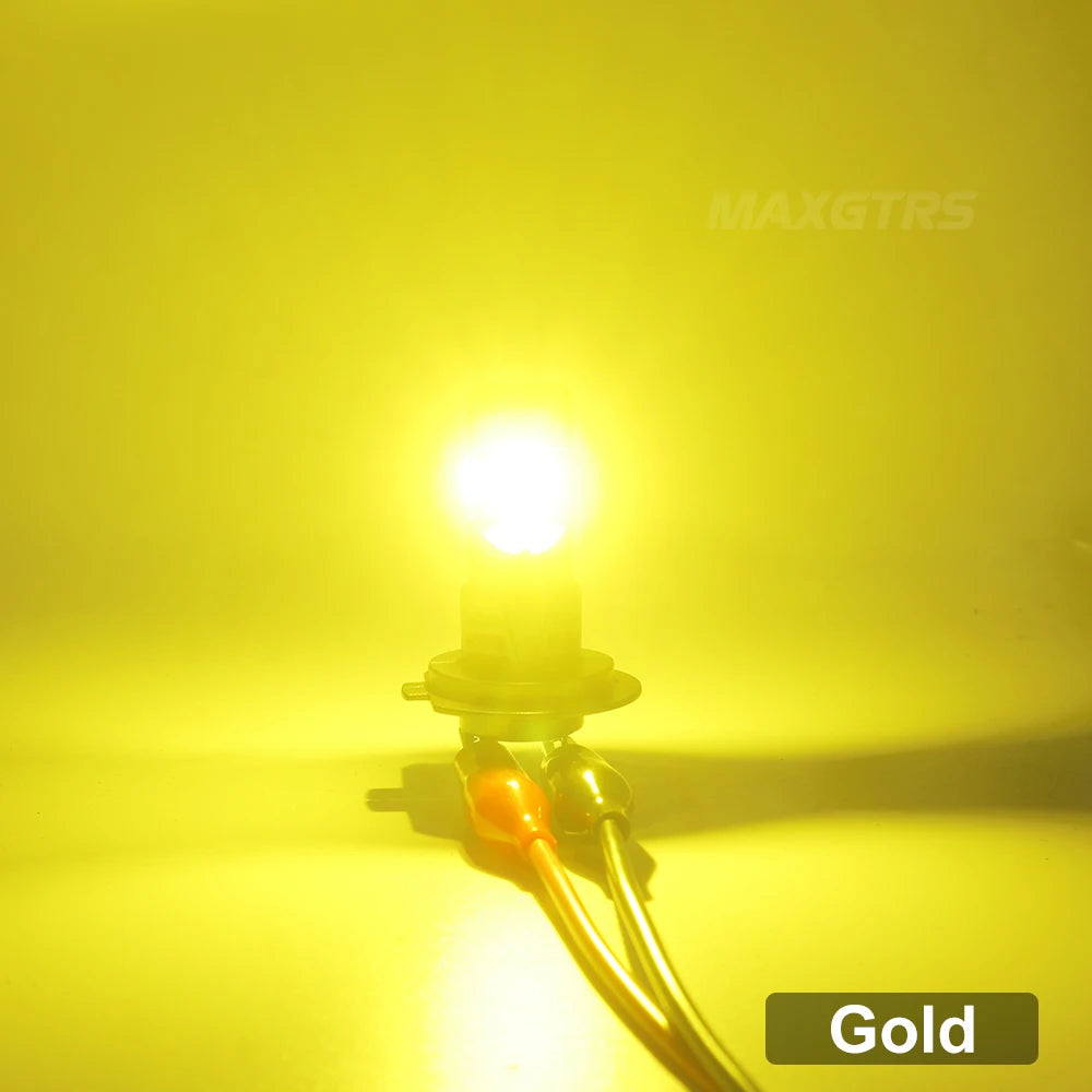 Gold / H8 H9 H11 H16(JP)