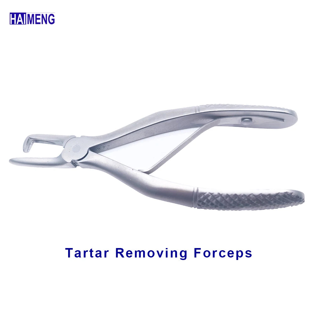 Veterinary Canine, Feline Dental Instruments Kit, Mascotas Tooth Lifter, Vet Hand Tools, Dental Equipments for Small Animals