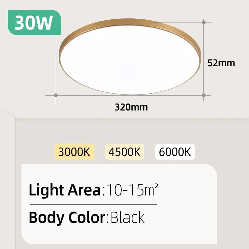 Golden 30W 220V / 2PCS / Cold White