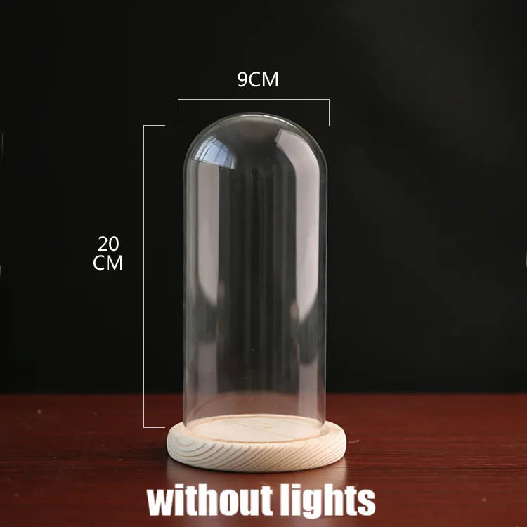 Tabletop Display Glass Cover Terrarium Container Decor Dry Flower Ornaments Craft Bell Jar Wood Base with Feet LED Light Holder