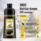 Black Hair Dye Shampoo with Ginseng Extract, 500ml, 5 Min Gray Coverage for Men & Women
