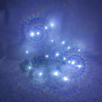 100pcs Paper Frame 3D heart-shaped Glasses Light Lamp Bubbles Diffraction love Glasses Used for Music Festival Raves Festivals