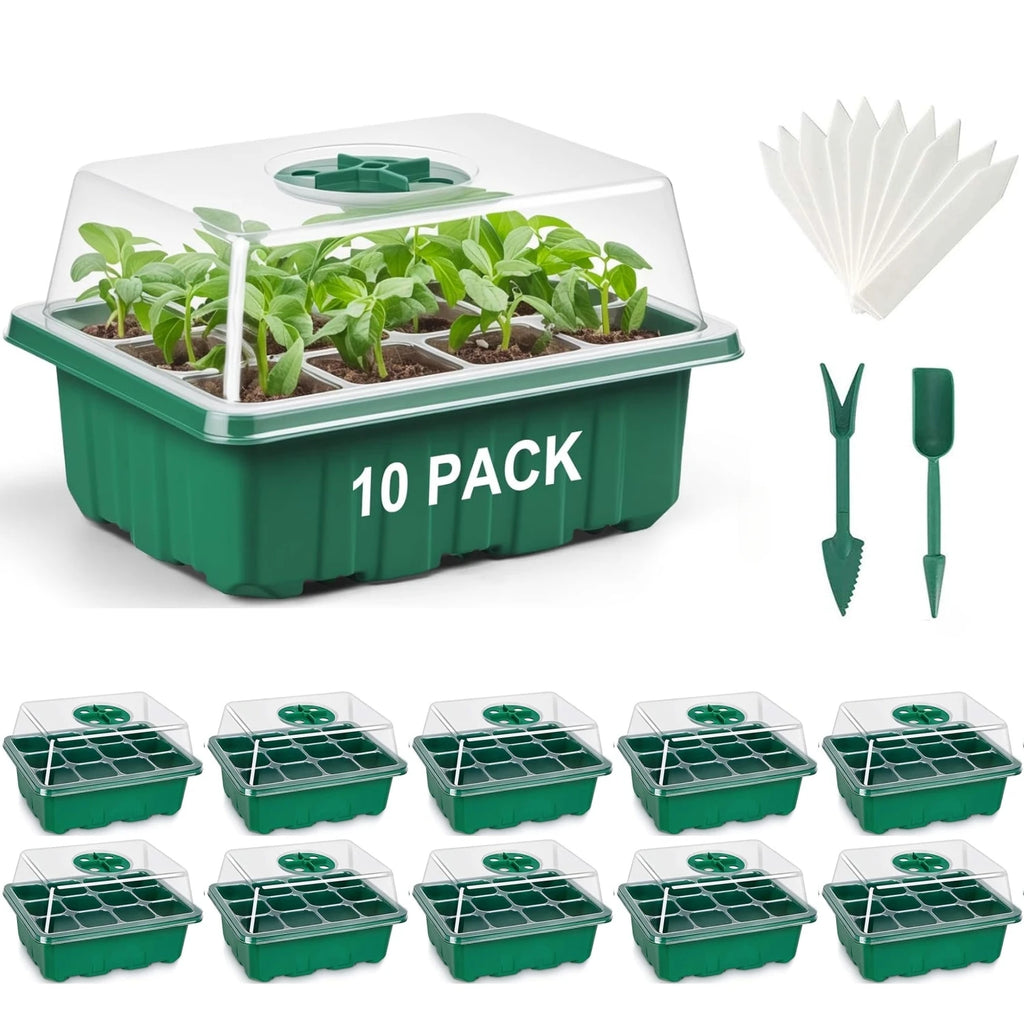 Green-10 Pack