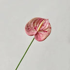 5/10/20pcs 3D Printed Anthurium Artificial Flower Flamingo Palm Wedding Hall Layout Wedding Home Decoration Artificial Flower