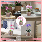 5Pcs Transparent Orchid Pot 4/5/6/7inch Planter Pot with Holes and Saucers Breathable Flower Plant Pot for Nursery