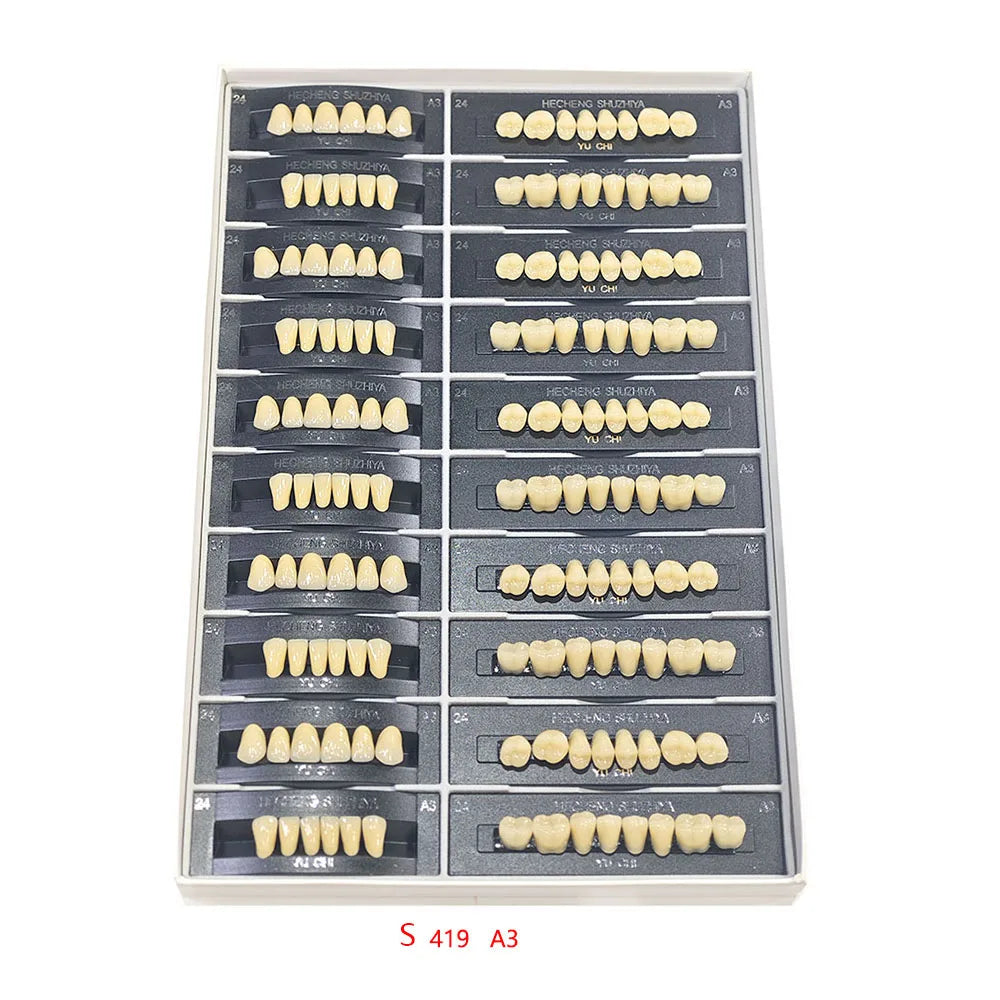 5 Sets/Box Dental Acrylic Resin Teeth 2 Layers Denture 28*1 Full Mouth S/M/L A2 A3 Stability Dentistry Material