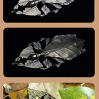 Insect Brooch Ye Fu Vintage Brass Antique Novel Design Insect Jewelry Pin for Suit  Men Women Party Gift