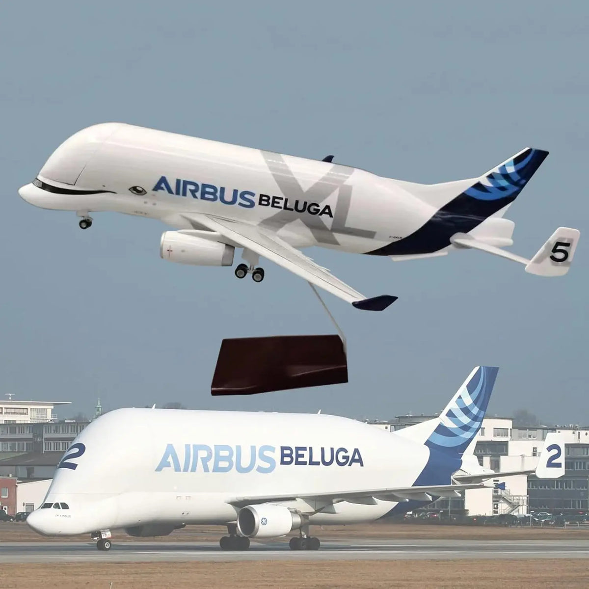 A330 Beluga Airways Airplane 42cm/20cm 1:150 Scale Diecast Resin Aircraft Metal Model Jet Openable Cargo Bay With Base Display