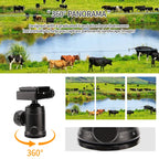 FM5S Portable Tripode Lightweight Travel Stand Tabletop Video Mini Tripod with 360 Degree Ball Head for Camera DSLR SLR