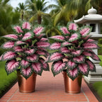 2pcs Pink Peacock Palm Trees Nordic Style Decorative Artificial Plants  for Indoor Outdoor Courtyards Offices Christmas Wedding
