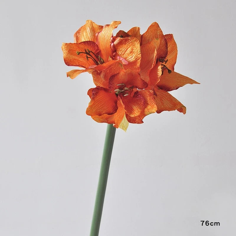 Autumn Orange
