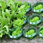 Reusable Vegetables Protection Covers Garden Plant Snail Slug Protection Collars Agricultural Save Water Guard for Flowers
