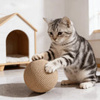 Cat Toy Ball, Interactive Natural Cat Scratching Balls Sisal Cat Ball Toy for Kittens Pet Enrichment Training Play Indoor Fun