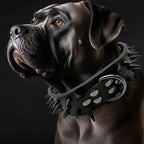 Fashion Anti Bite Rivet Sturdy Pu Leather Pet Collar Bulldog Domineering Adjustable Collar for Medium and Big Dog Pet Supplies