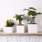 Automatic Self Watering Flower Plants Pot Gardening Flower Pots Living Room Decor Plastic Planters Home Garden Planters Desktop