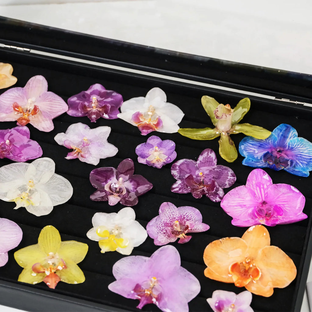"Resin Coated Natural Dried Phalaenopsis Orchid Flowers - DIY Craft Supplies for Jewelry Making (Earrings/Brooch) Real Preserved