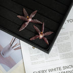 "Resin Coated Natural Dried Phalaenopsis Orchid Flowers - DIY Craft Supplies for Jewelry Making (Earrings/Brooch) Real Preserved