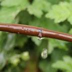 1/4 in PE drip irrigation hose with emitters, brown, 25cm spacing, 30m (100ft)