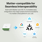 SONOFF MINI-2GS 2-Gang Matter WiFi Smart Switch, Dual Load Control, Detach Relay, Alexa/Apple Home