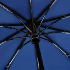 Windproof Double Layer Fully Automatic Resistant Umbrella