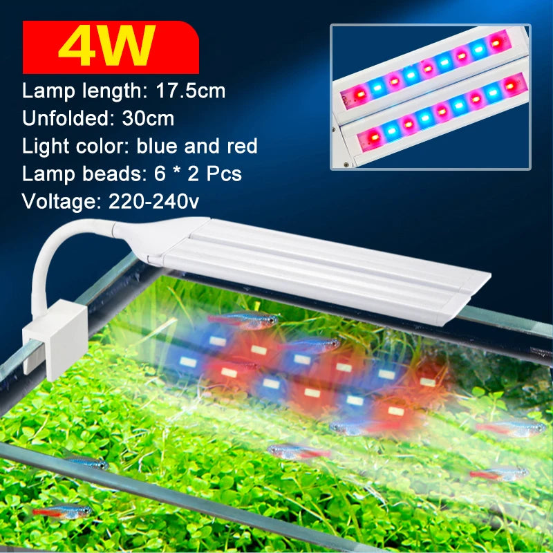 4w blue red