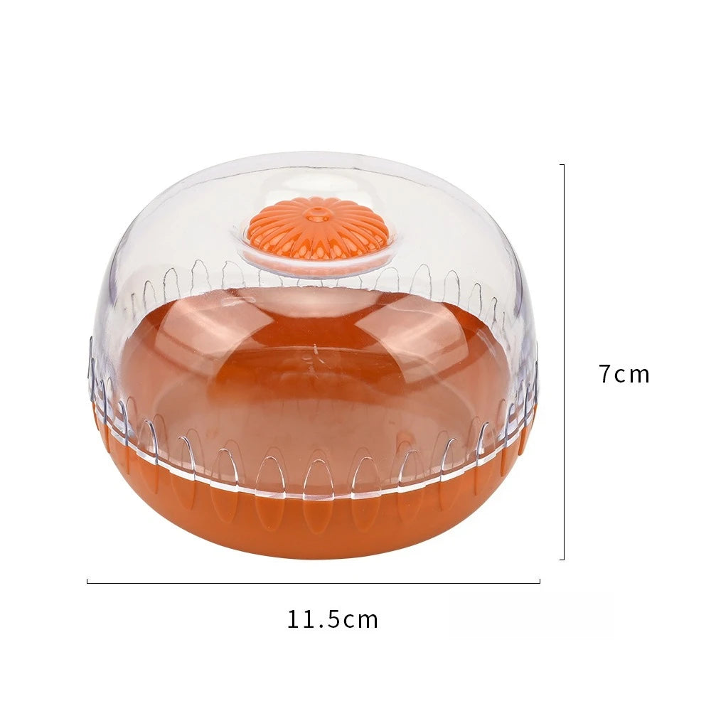 Fruit Preservation Box Refrigerator Sealed Storage Container Plastic for Avocado Lemon Onion Tomato Vegetable Fruit Preservation