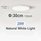 28W Natural light / White