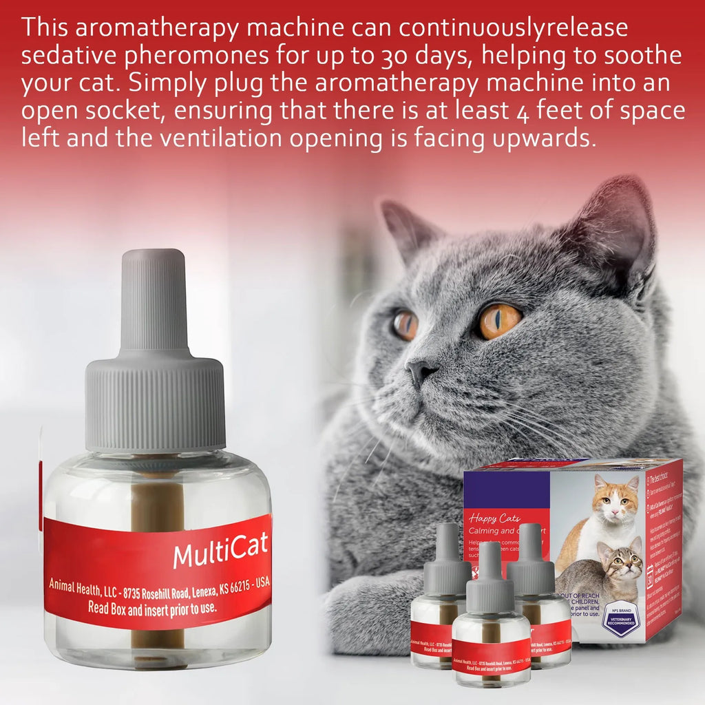 3pcs New Diffuser Refill | Maintain And Among Cats At Home 48ml