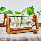 1pc, Tabletop Glass Planter Propagation Station Hydroponic Plant Vases In Wooden Rack Terrarium For Plants, Clear Flower Pot For