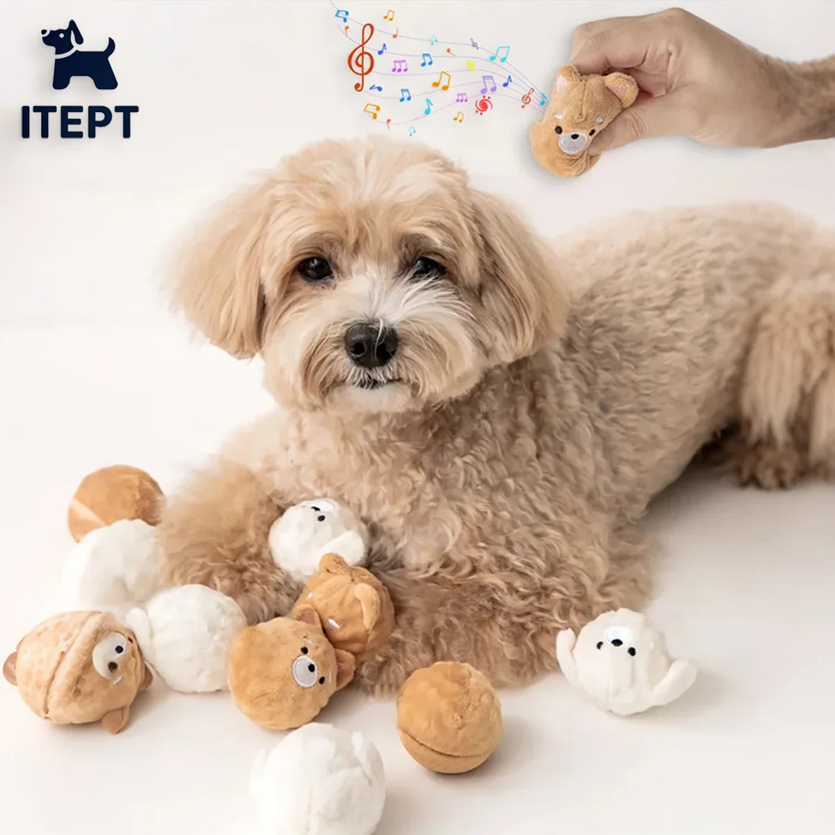 Squeaky Puppy Ball Toy - Spiked Bouncing Chew for Teeth Cleaning, Interactive Pet Toy for Small Dogs & Cats (Poodle/Bichon)