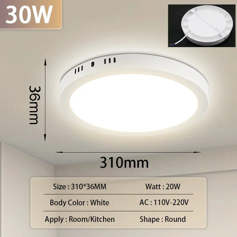 Round White 30W / 2PCS / Cold White