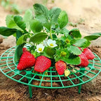 20/50Pcs Heavy-Duty Strawberry & Watermelon Planting Rack - Garden Support Frame with 3- Sturdy Design,Open Grid Drainage System