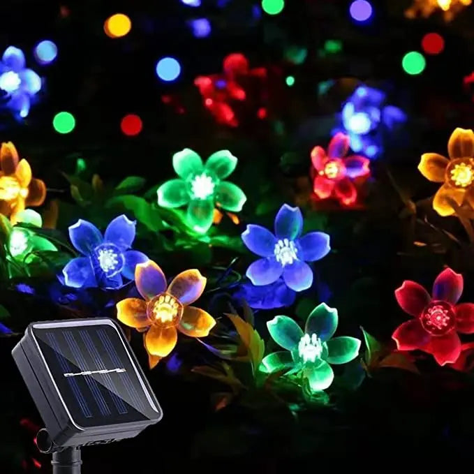Color / 22M 200leds 8mdoe