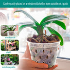 5Pcs 11/12.5/14/15/17cm Planter Pots with Side Holes Orchid Flowerpot with Trays Breathable Transparent Plastic  Flowerpot