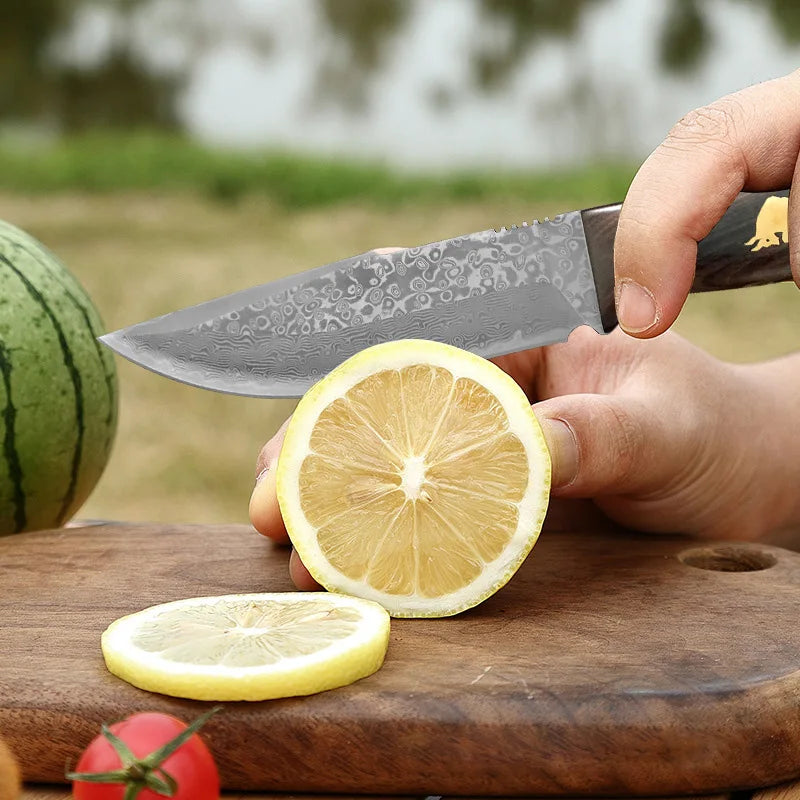 Damascus VG10 Steel Knife wood Handle Fixed blade knife Cooking Knife Meat Fruits Vegetables BBQ Cutting Kitchen Accessories