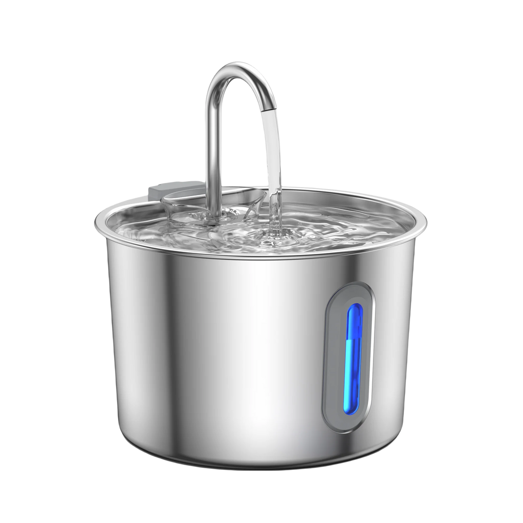 Water Fountain