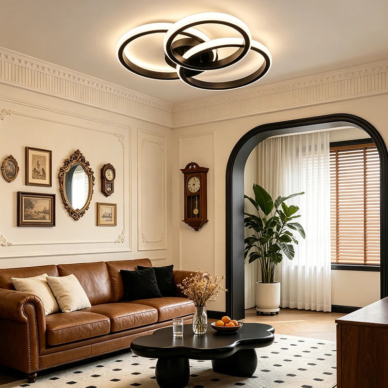 LED Ceiling Light Fixture, Black or White, Warm/Cold/CCT Options, Indoor Flush Mount