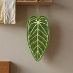 Plant Towels Ultra-Absorbent Quick-Dry Bathroom & Kitchen Towel - Tropical Leaf Design Hand/Thumb Towel with Hanging Loop