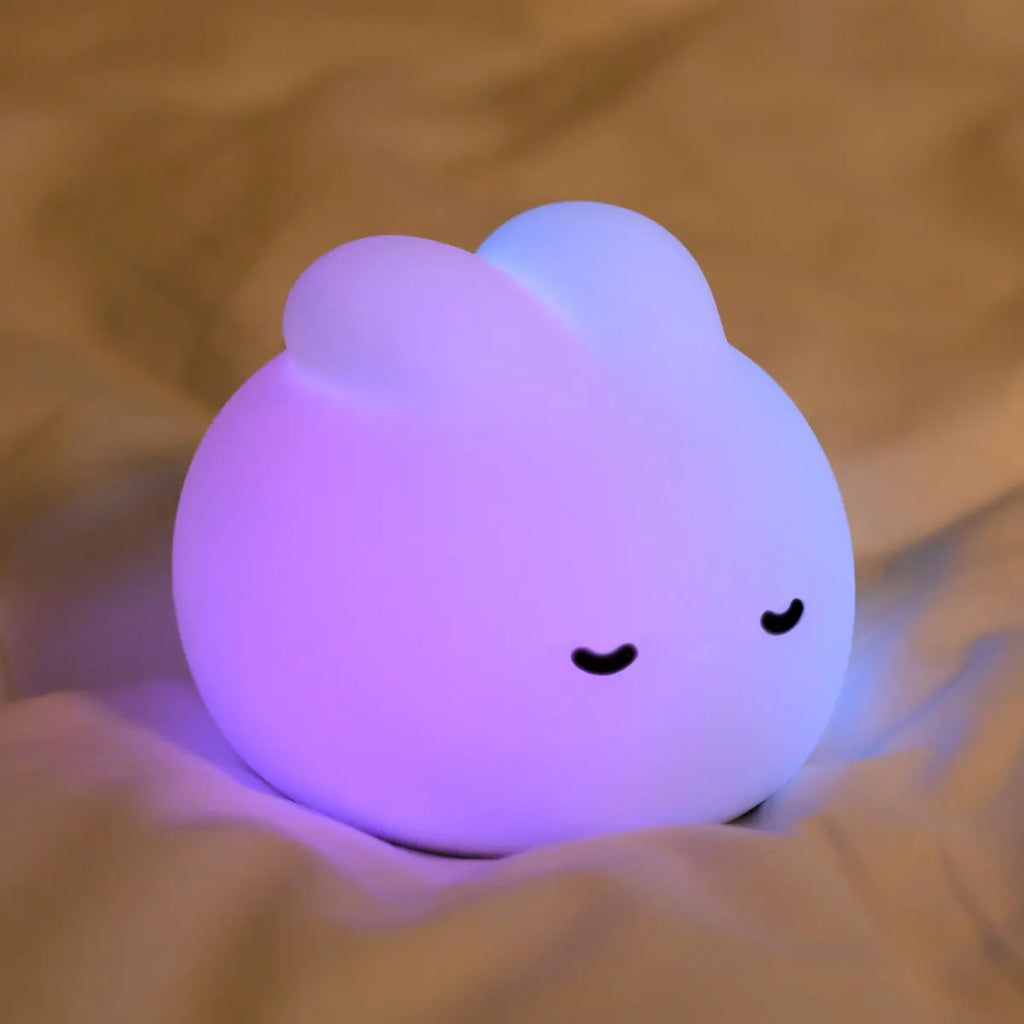 LED Night light Cute duck Cartoon animals Silicone lamp for children kid Touch Sensor Timing USB Rechargeable for birthday gifts