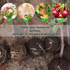 Air Layering Pods Plant Rooting Ball High Pressure Propagation Root Grow Box Graft Breeding Growing Case Planting Nursery Pot