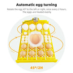 24 Eggs Incubator 12V 110V 220V Egg Tray Eggs Turning Automatic Egg Hatching Incubator for Quail  Goose Duck Bird Poultry