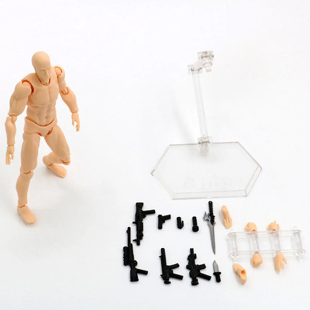 Male Female Body Figure Toy Movable Joints Drawing Mannequin Figure Models for Kids Scientific Cognitive Toys
