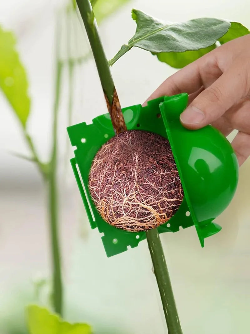 Grafting Rooting Box Plant Rooting Ball Reusable Breeding Case High Pressure Planting Root Growing Box Garden Propagation Ball