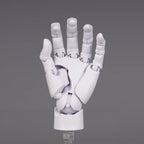 10.5cm Human Hand Model With Movable Finger Joints 1:2 Simulation Palm  Desktop Ornamenttoy Twisted Egg Surprise Blind Box