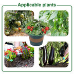 10PCS Strawberry Supports With 3 Sturdy Support Feet Keeping Plant Fruit Stand Vegetable Growing Rack Garden Tools