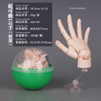 New 10.5cm Human Hand Model With Movable Finger Joints 1:2 Simulation Palm  Desktop Ornamenttoy Twisted Egg Surprise Blind Box