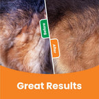3 In 1 Pet Deshedding Brush Dog Hair Remover Pet Fur Knot Cutter Puppy Cat Comb Brushes Dogs Grooming Shedding Supplies