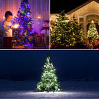 Green Environmentally Materials Outdoor LED Solar Lawn Lamp 10/20/50/100m Fairy Garden Lights For Squares Parks Christmas Decor