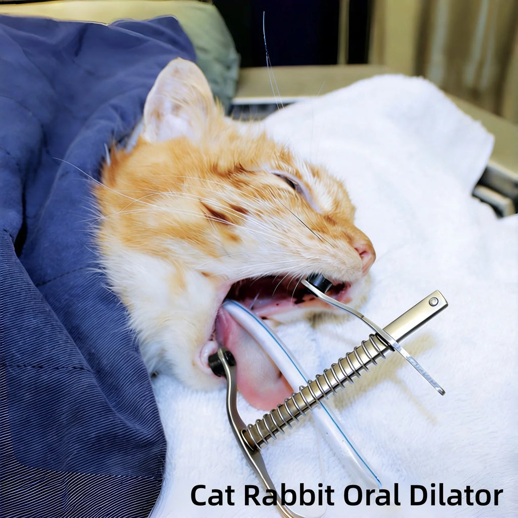 Small Animal Mouth Opener Dental Retractor for Cat Rabbit Exam Anesthesia - Size Options