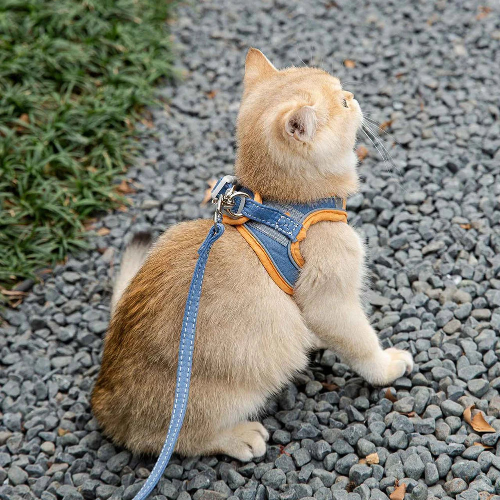Reflective Cat & Dog Vest Harness with Leash, Anti-Escape Soft Mesh, Blue/Green S-3XL